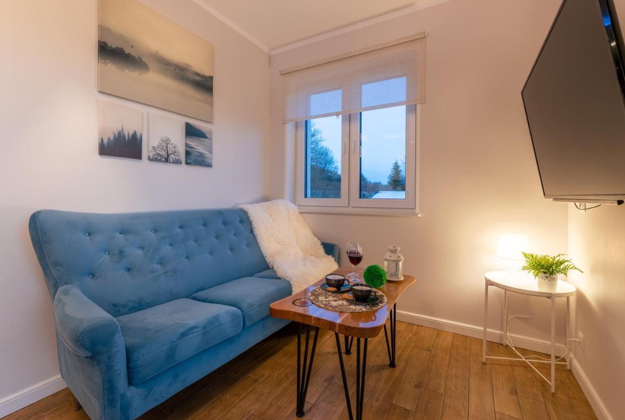 Villa Kasztelan Apartamenty Ustrzyki Dolne Bagian luar foto